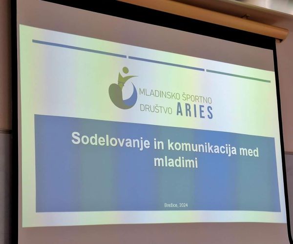 delavnica-sodelovanje-in-komunikacija-med-mladimi-53B1D328B-EE17-606D-1A8F-00481ADD9132.jpg